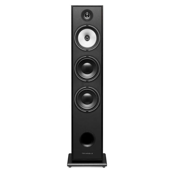 Triangle Borea BR08 Floorstanding Speaker - Imagen 1