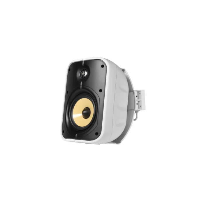 PSB Speakers CS1000 Universal In-Outdoor Speakers - Imagen 3
