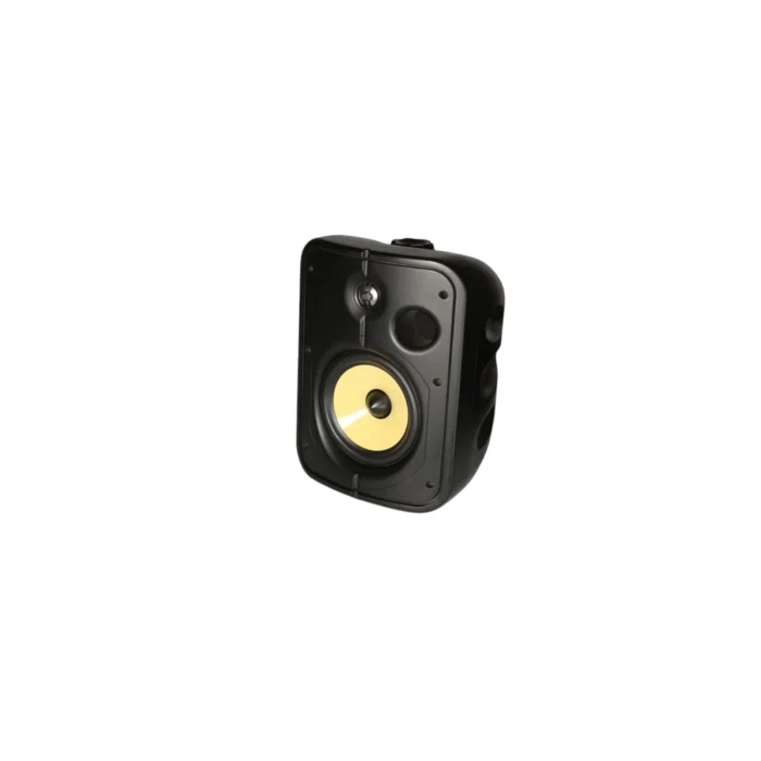PSB Speakers CS1000 Universal In-Outdoor Speakers - Imagen 2