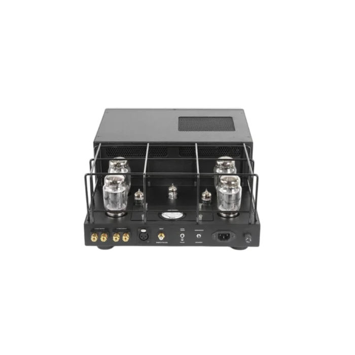 Rogue Audio M-180 Monoblock Power Amplifier (Pair) - Imagen 2