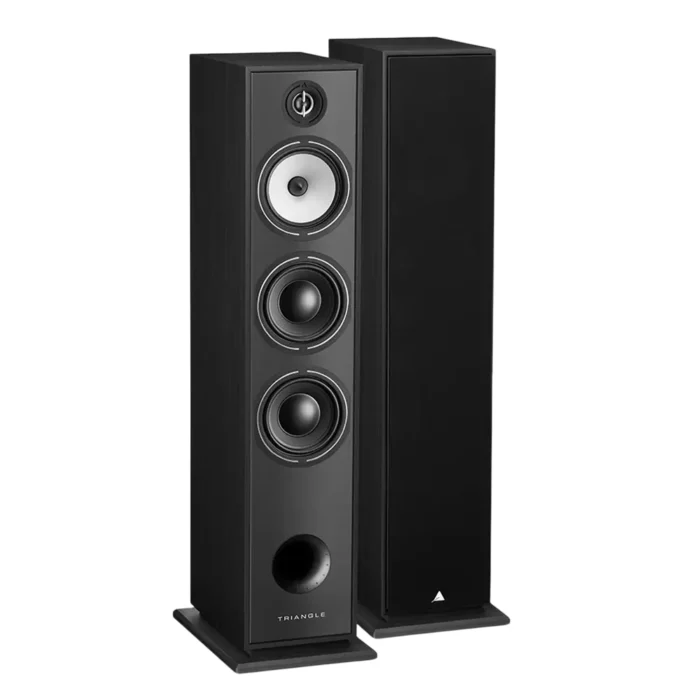 Triangle Borea BR08 Floorstanding Speaker - Imagen 2