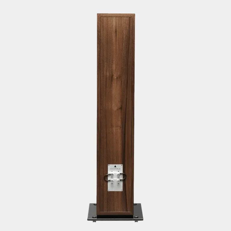 Triangle Esprit Antal EZ Floorstanding Speaker Black Ash - Imagen 3